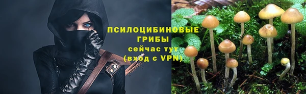 соль ск Белокуриха