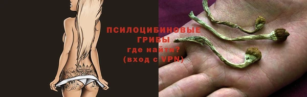 соль ск Белокуриха