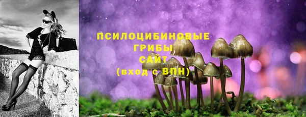apvp Беломорск