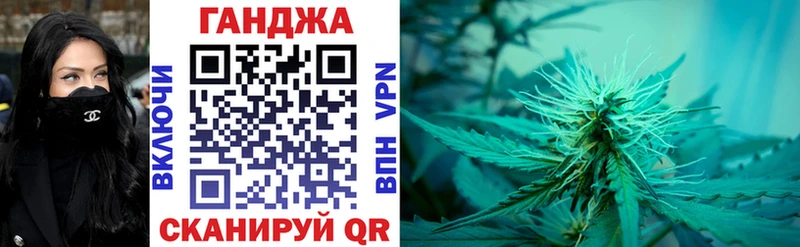 Конопля Bruce Banner  Купить где  Игарка 